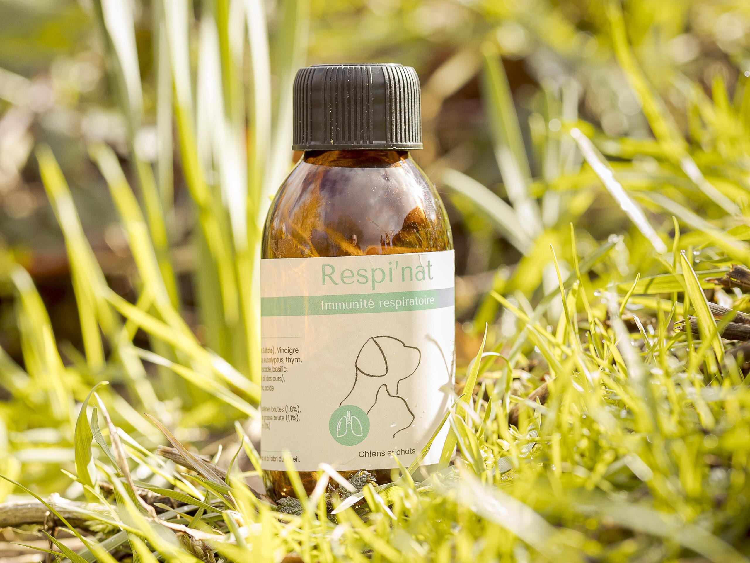 Respi'nat - Immunité respiratoire - Veteri'nat